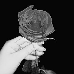 Cropped hand over black background