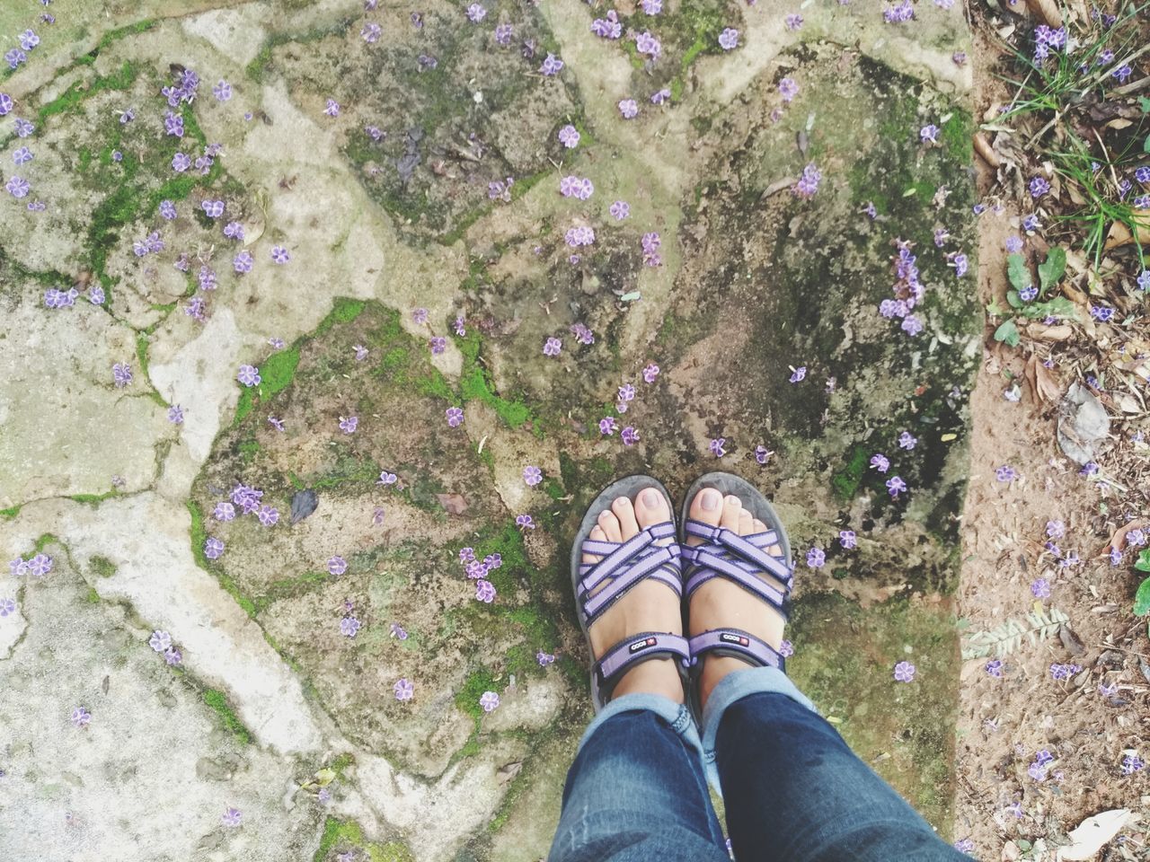 low section, human leg, one person, standing, high angle view, real people, personal perspective, human foot, directly above, shoe, day, outdoors, human body part, lifestyles, women, beach, water, nature, ankle deep in water, one woman only, adult, adults only, people