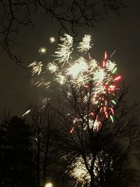Low angle view of bare tree against sky