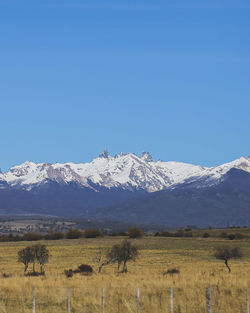 Scenic view of grassy field amidst snowcapped mountain against clear blue sky