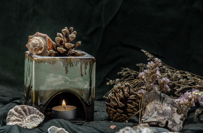 Close-up of plant on table