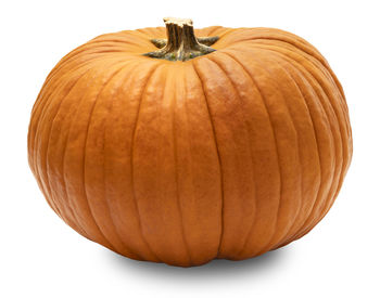 Close-up of pumpkin against white background
