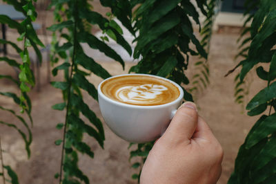 Cropped image of hand holding coffee cup