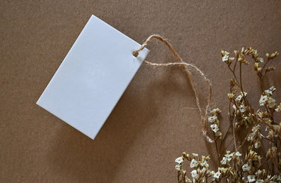 Close-up of text on white wall