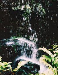 Waterfall in forest