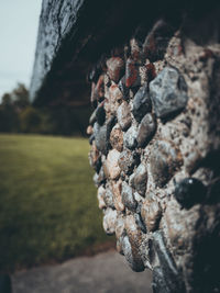 Close-up of rock on field