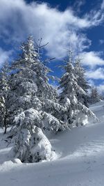 Snow covered land against sky