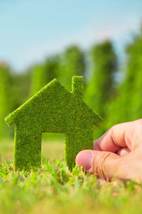 Close-up of hand holding grass