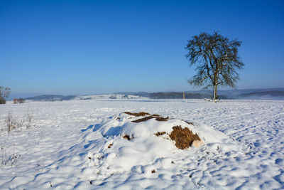 Scenic view of snow covered field against clear blue sky