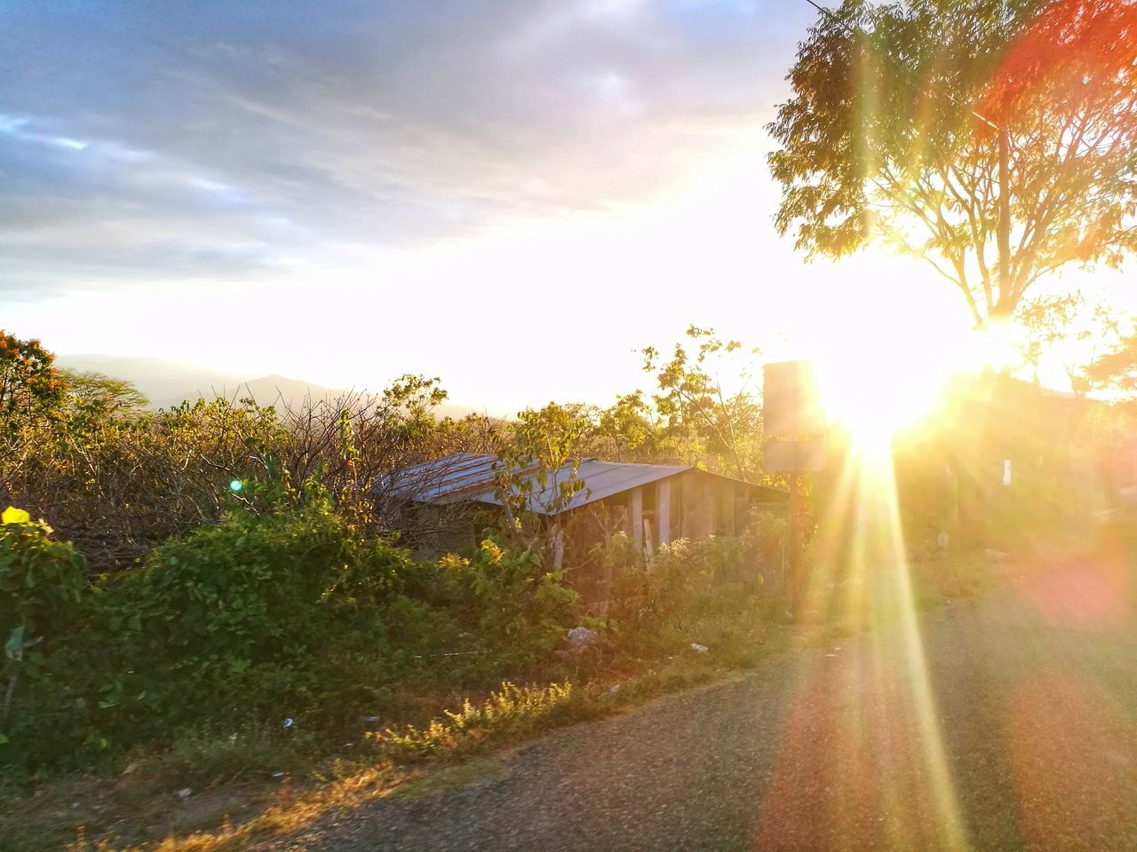 sunlight, tree, lens flare, sky, sunbeam, sunset, sun, nature, beauty in nature, outdoors, grass, cloud - sky, scenics, no people, day