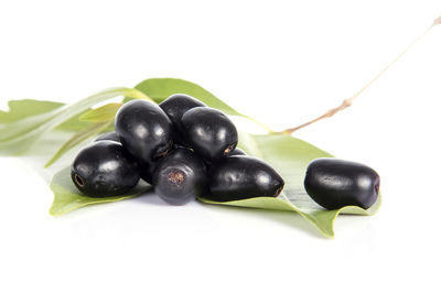 Close-up of blueberries against white background