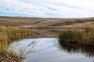 Scenic view of landscape against sky