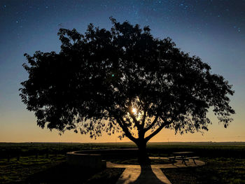 Silhouette tree on field against sky