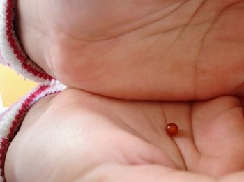 Close-up of baby hand