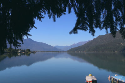 Scenic view of lake by trees against blue sky