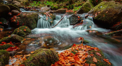 View of waterfall in forest