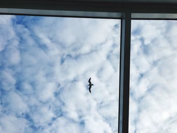 Low angle view of airplane flying in sky