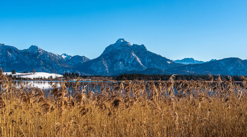 Scenic view of lake and mountains against clear blue sky