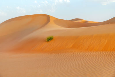 Natural landscape of the orange color sand dunes in the desert in abu dhabi in uae