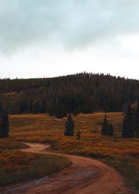 Scenic view of trees growing on field against sky