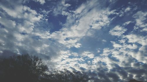 Low angle view of trees against cloudy sky