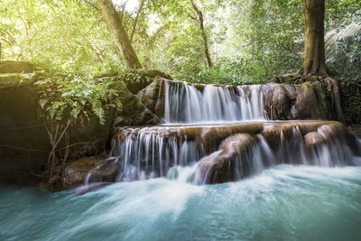 Scenic view of waterfall in forest