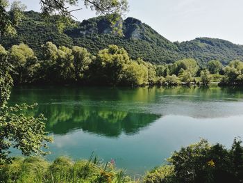 Scenic view of lake by trees against sky