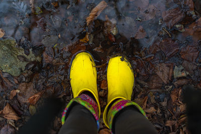 Low section of person standing on yellow water