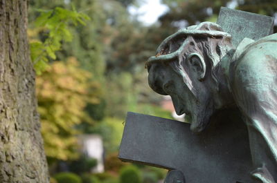 Close-up of statue