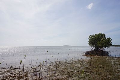 Scenic view of sea against sky