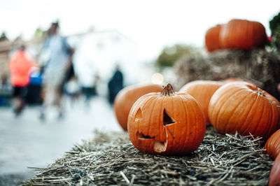 Close-up of pumpkins during autumn