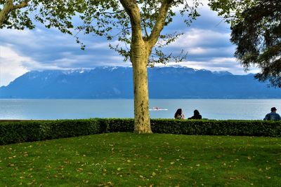 People sitting by tree against sky