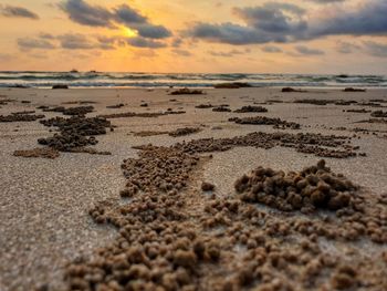 Surface level of beach against sky during sunset