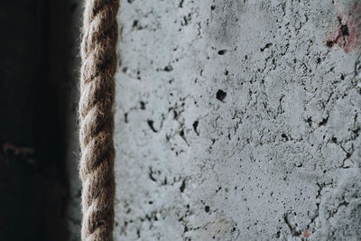 Close-up of rope on rock against wall