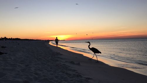 Scenic view of beach against sky during sunset