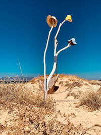 Dead plant on land against clear blue sky