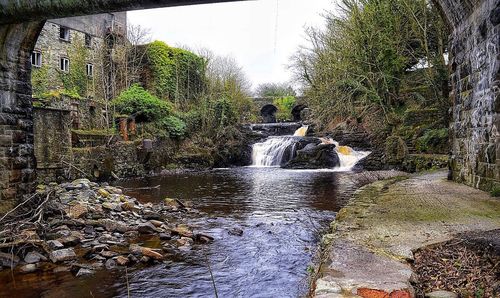 Scenic view of waterfall in forest against sky