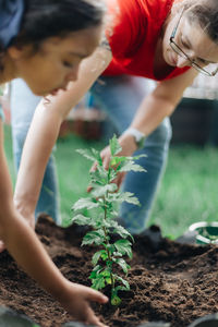 Young millennial mother and diverse mixed race pre school age girl at home planting flowers