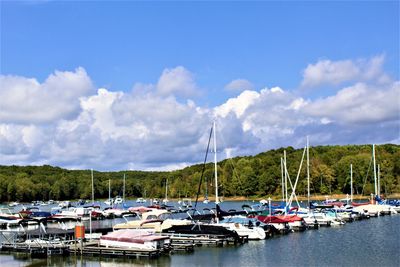Sailboats moored at harbor
