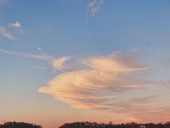 Low angle view of silhouette trees against sky during sunset