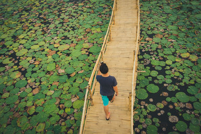 High angle view of man walking on footpath during autumn