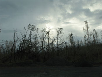 Scenic view of landscape against cloudy sky