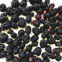 Full frame shot of berries