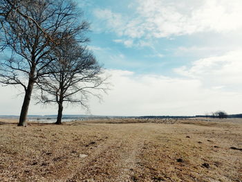 Scenic view of field against cloudy sky