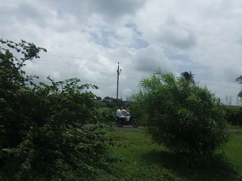 Trees on field against sky