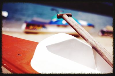 Close up of plant against blurred background