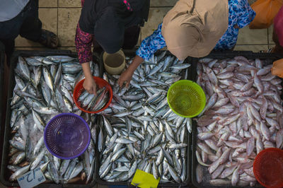 High angle view of people buying fish at market