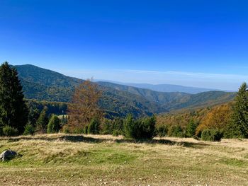 Scenic view of field against clear blue sky