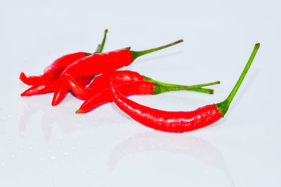 Close-up of red chili pepper against white background