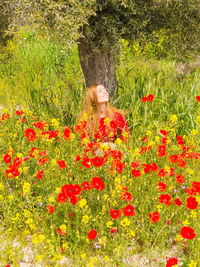 High angle view of poppy flowers on field